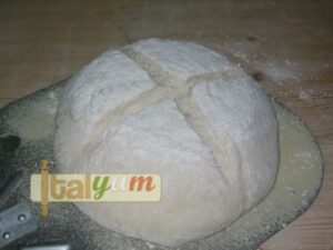 Home made bread (Pane casereccio) | Bakery