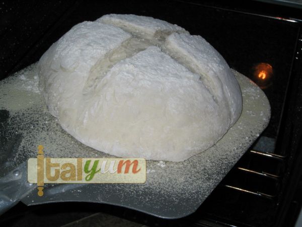 Home made bread (Pane casereccio) | Bakery