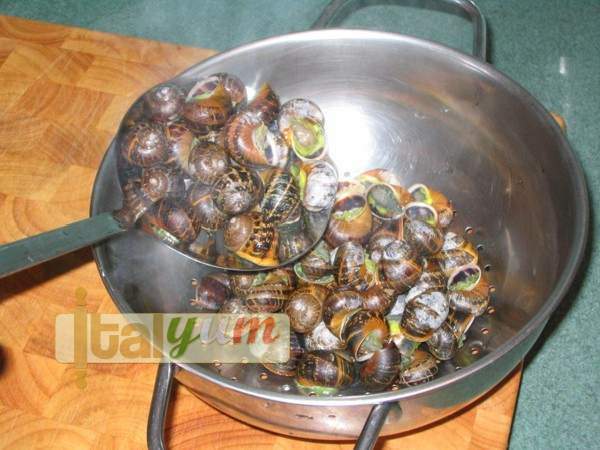 Garden snails Brescia (Lumache alla bresciana) | Special Recipes