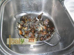 Garden snails Brescia (Lumache alla bresciana) | Special Recipes