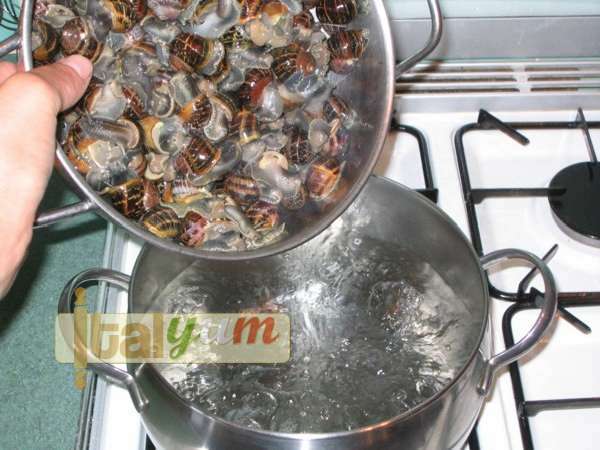 Garden snails Brescia (Lumache alla bresciana) | Special Recipes