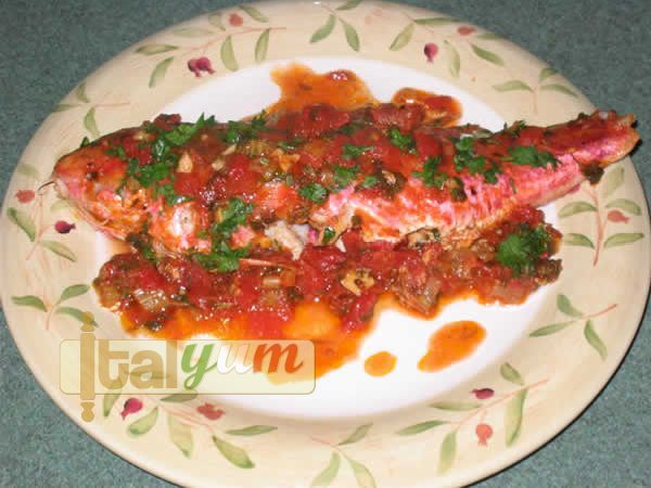 Red mullets in tomato sauce (Triglie alla Livornese) | Seafood recipes