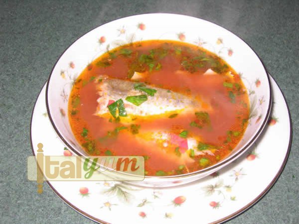 Fish Stew (Ciuppin) | Seafood recipes