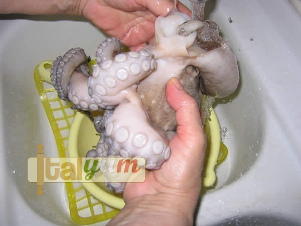 Octopus with potatoes (Polpo e patate) | Seafood recipes