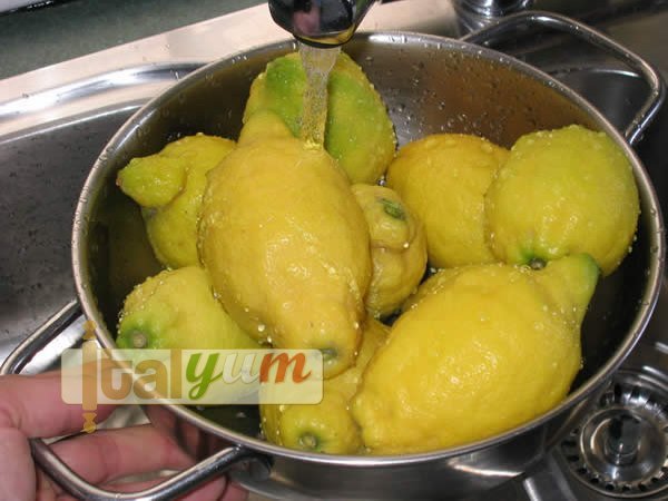 Limoncello | Special Recipes