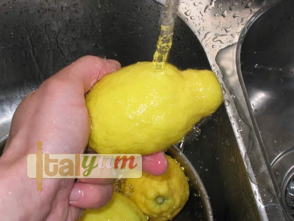Limoncello | Special Recipes